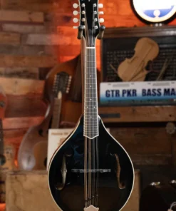 Bourgeois M5-A-BT Aged Tone Black Top