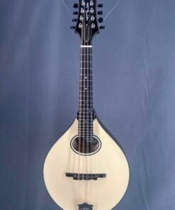 Collings MT2-O Mandoline Table Crème
