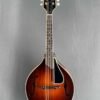 Guitare Ellis A-5 Reserve