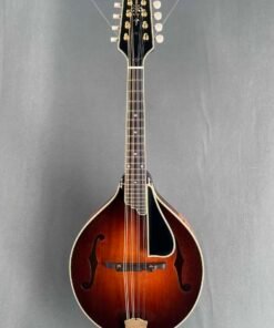 Guitare Ellis A-5 Reserve
