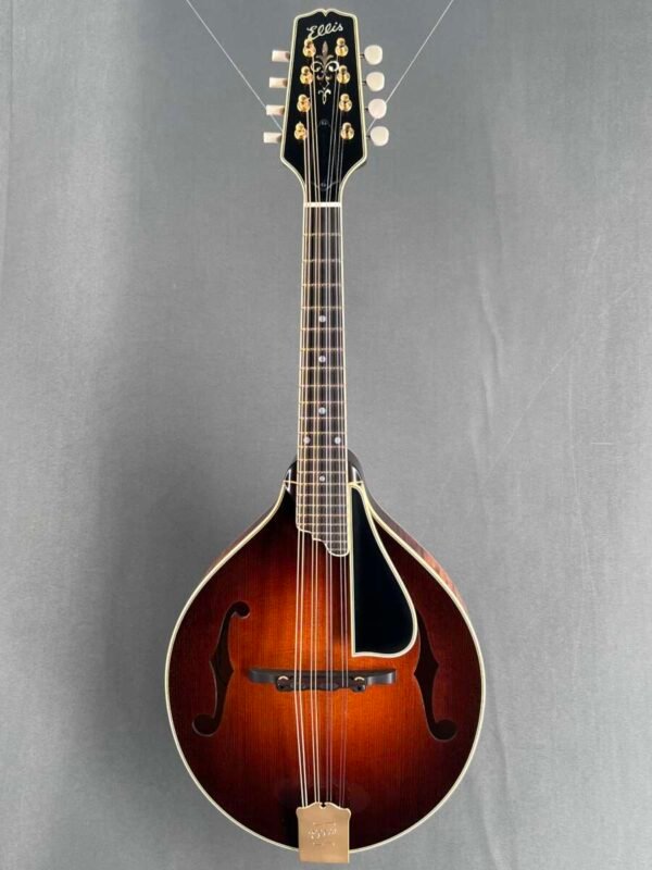 Guitare Ellis A-5 Reserve