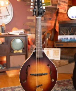 The Loar LM-110E-BRB "Honey Creek" Mandoline A-Style